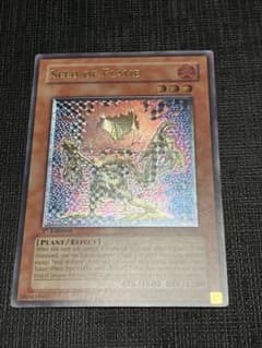 遊戯王 英語 レリーフ シード・オブ・フレイム - メルカリ