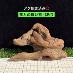 アク抜き済み】A51 天然流木 アクアリウム、爬虫類 - メルカリ