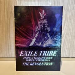 EXILE TRIBE PERFECT YEAR LIVE TOUR DVDのサムネイル