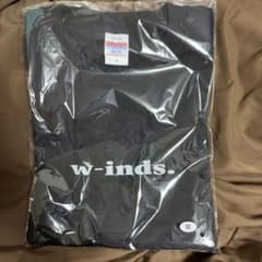 2026GOLDENSINGLES黒TシャツMサイズ、フォトカ慶太、ピンバッジのサムネイル