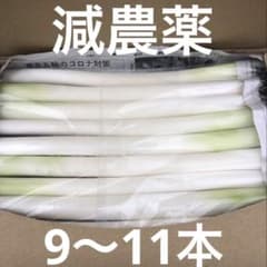 不揃いカットネギ　　　　　おいし〜いよ！ 　　A4サイズのサムネイル
