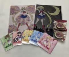 Pretty Guardian Sailor Moon A5 Clear File Mini Cloth Mask King 9-piece set
