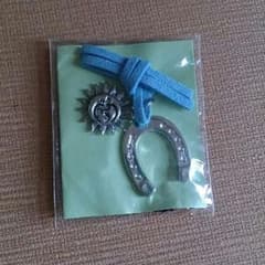 プントウーノ★馬蹄×太陽チャームのサムネイル