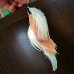 羽根ピアスのサムネイル