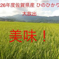 26年度佐賀県産ひのひり12000送料なし→込み8400円 30kgのサムネイル