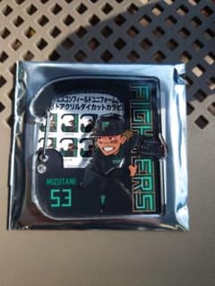 ファイターズ カラビナ 水谷瞬のサムネイル