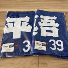 中日フェイスタオル2枚セットのサムネイル