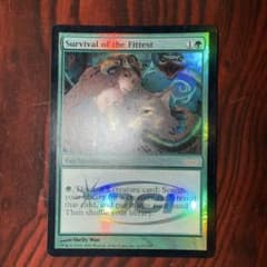 コ*ウ様 適者生存　foil ジャッジ コ*ウ様 適者生存 foil ジャッジ - メルカリ