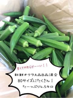 クール便！福岡県産オクラ　A品B品混合　たっぷり4.5キロ！のサムネイル