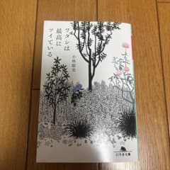 ワタシは最高にツイている 小林聡美のサムネイル