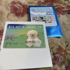 じょせまるたち ばんぐみ　おもしろ　しぃるのサムネイル