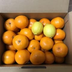 はるみ★Sサイズ★家庭用★2.5kg★ラスト一箱のサムネイル