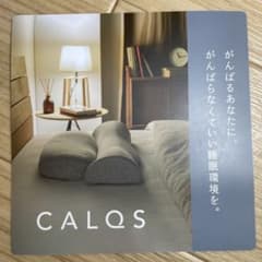 CALQS 首と肩がホッとする枕 （温め機能なし）のサムネイル