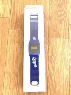 【値下げ】プロ野球　funband ファンバンド　中日ドラゴンズのサムネイル