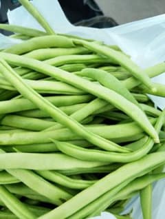 【無農薬・有機栽培】採れたていんげん豆のサムネイル