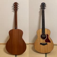 Taylor gs miniのサムネイル