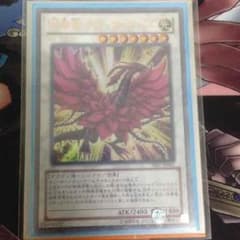 遊戯王 月華竜ブラックローズのサムネイル