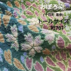 訪問着(袷) (十日町 滝泰謹製 襲絞り花紋様 相良刺繍 トールサイズ 未 