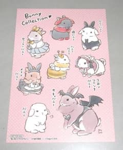 兎に角うさぎがかわいい うさ道の極意 特典 イラストカード