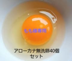 アローカナ無洗卵40個セットのサムネイル