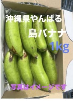 島バナナ  1kg  沖縄県産のサムネイル