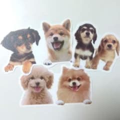 犬のステッカー3枚セットのサムネイル