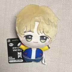 BTS TinyTAN DNA 치비구루미 디민