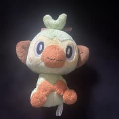 サルノリのサムネイル