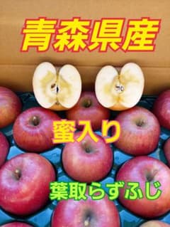 青森県産りんご　葉とらずふじのサムネイル