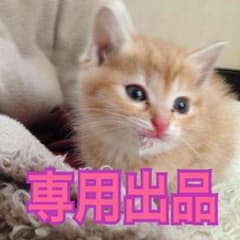 三児のA.A.N様  専用 2月8日までお取り置き♡のサムネイル