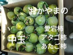 愛宕柿 あたご柿 渋柿 干し柿用 中玉 ８キロ 40〜50個のサムネイル