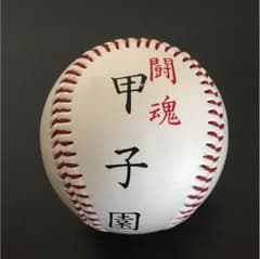 甲子園の記念ボールのサムネイル