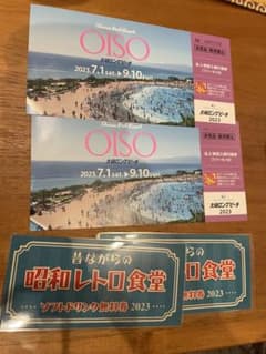 大磯ロングビーチ 入場券2枚　ドリンク交換チケット付きのサムネイル