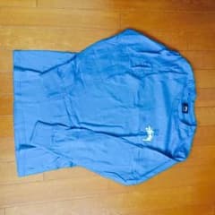 stussy レディース長袖のサムネイル