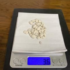 アンバーグリス　龍涎香のサムネイル