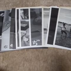 千原兄弟ファンクラブ会報 - メルカリ