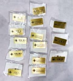 Ace Attorney Memory of the Prosecutor Lottery Nameplate 14-Piece Set