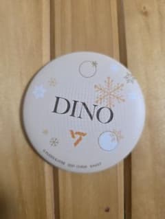 DINO 자석