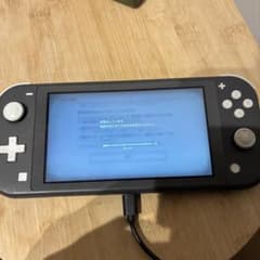 Nintendo Switch Lite 本体 グレーのサムネイル