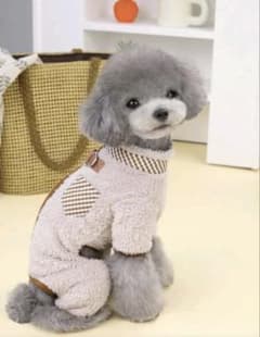 犬服　ロンパース　ファスナー背中開き　アイボリー　XSサイズのサムネイル