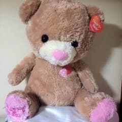 くまさん BIGぬいぐるみのサムネイル