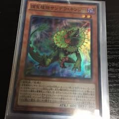 捕食植物サンデウ・キンジーのサムネイル