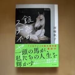 銀色のステイヤーのサムネイル