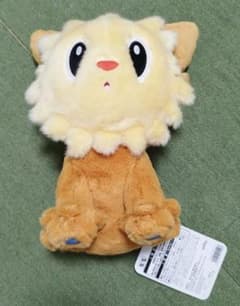 ポケモンセンター　おすわりぬいぐるみ ヨーテリー　ピカピカボックスのサムネイル