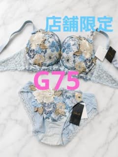 ☆店舗限定 Wacoal Salute G75☆59G☆フォークロア☆サルートのサムネイル
