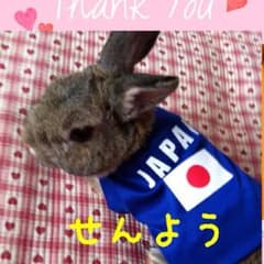 HRK.様専用  お取り置き中ですのサムネイル