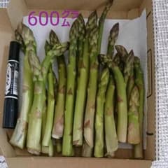朝どりアスパラガス600グラムのサムネイル