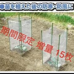 苗カード15枚のサムネイル