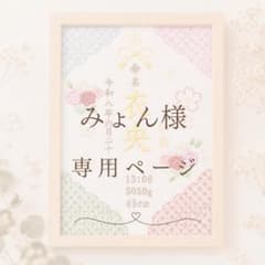 みょん様　専用ページのサムネイル