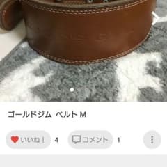 ゴールドジムベルト、海鮮ドーン様専用のサムネイル